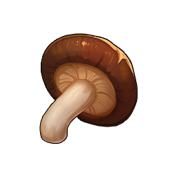 Icon of the ingredient Fresh Shiitake Mushrooms