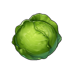 Icon of the ingredient Cabbage