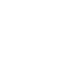Soul Caller