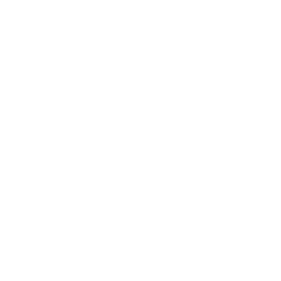 Anomaly-Loving Observer