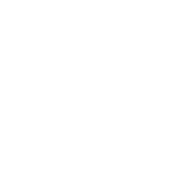 Re-examination