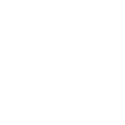 Anomalies Record