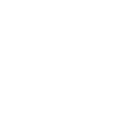 Dealership VIP
