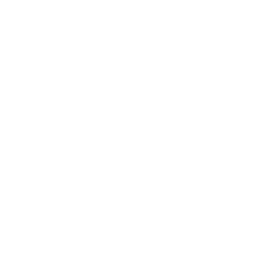 Middle Manager