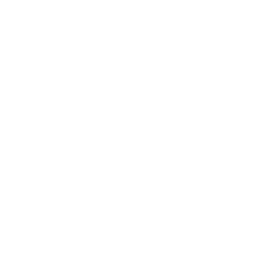 Five-Star Paragon