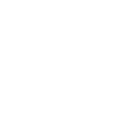 Onslaught