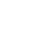 Ghost Orchid Crest