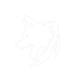 Shadow Hound Chase