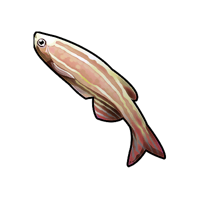 Icon of the fish Underwater Rainbow