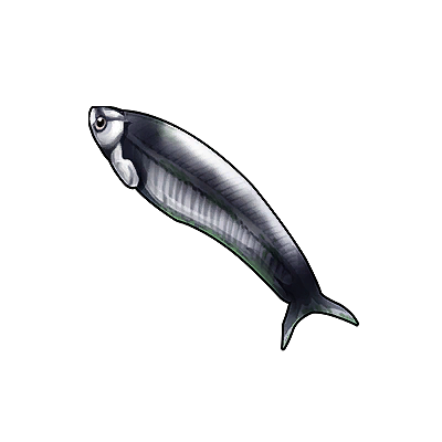 Icon of the fish Black Ghost