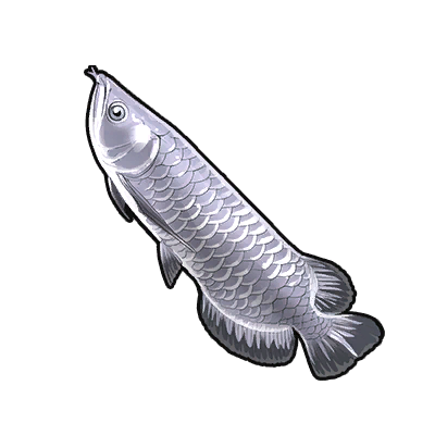 Icon of the fish Silver Arowana