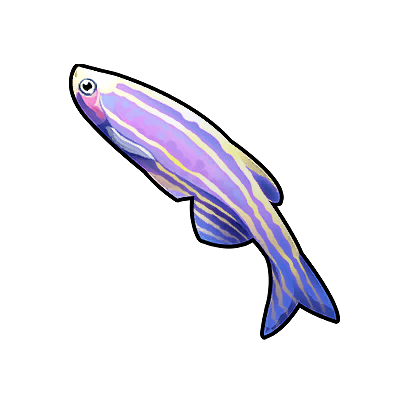Icon of the fish Zebrafish