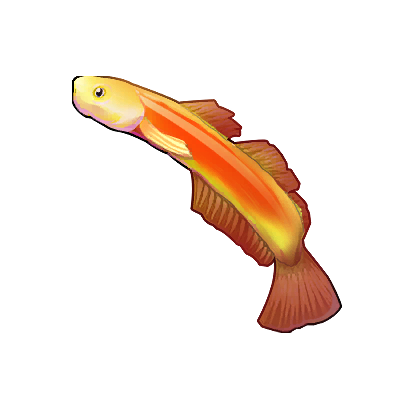 Icon of the fish Golden Thunder Dragon