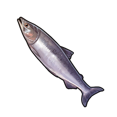 Icon of the fish Salmon