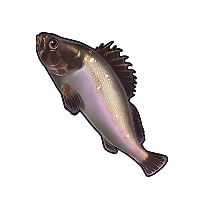 Icon of the fish Flounder