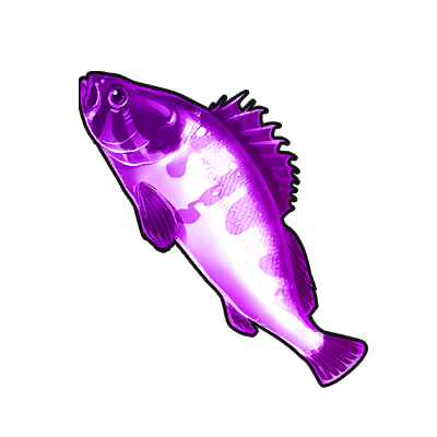 Icon of the fish Purple-striped Grouper