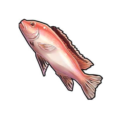 Icon of the fish Red Sea Bream