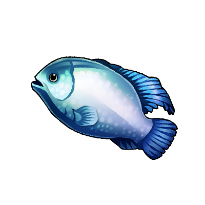 Icon of the fish Blueface Angelfish
