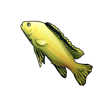 Icon of the fish Yellow Tang