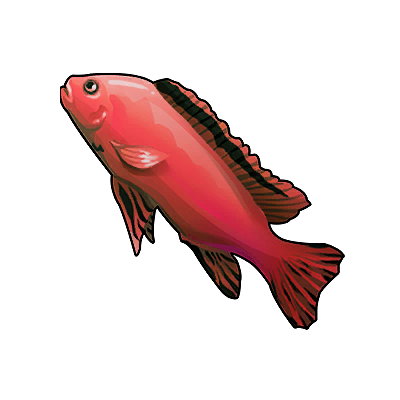 Icon of the fish Red Tang