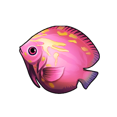 Icon of the fish Pink Saddleback Angelfish